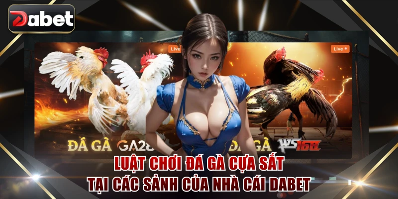 đá gà cựa sắt