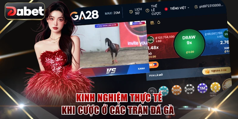 Kinh nghiệm thực tế khi cược ở các trận đá gà 