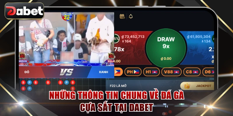 Những thông tin chung về đá gà cựa sắt tại DABET